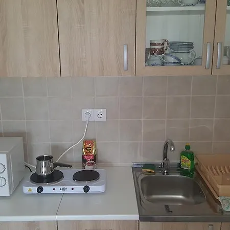Krstin Banja Vrujci Apartment